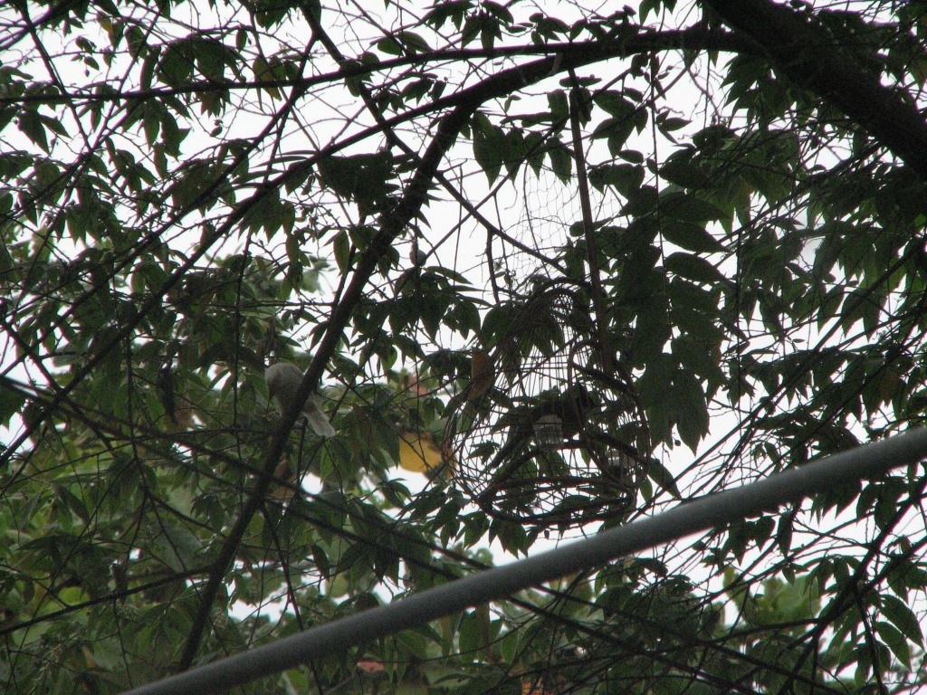 IMG_0207.jpg
